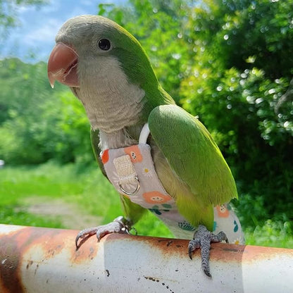 Snap-Closure Parrot Diaper Flight Suit for Cockatiels, Lovebirds & Medium Birds Cotton Washable Escape-Proof Harness with Leash Set(Rainbow Honey Sucking Model+1 Meter Rope)