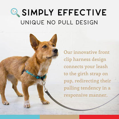 No Pull Dog Harness | Comfortable Training Harnesses | Effective No Pull Harness Design | Ideal for Large Sized Dog | 4-Point Adjustable(L - 26~32 inch Girth, Turquoise)