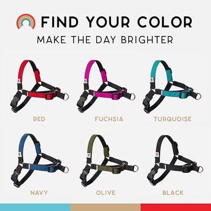 No Pull Dog Harness | Comfortable Training Harnesses | Effective No Pull Harness Design | Ideal for Large Sized Dog | 4-Point Adjustable(L - 26~32 inch Girth, Turquoise)