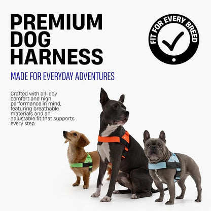 Dog Friendly Co. Dog Harness for Large Dogs (Purple, Large) | One Click Buckle, Chafe Resistant Webbing, Adjustable Neck & Chest, and Heavy Duty D-Ring, Sturdy Comfortable and Easy to Use