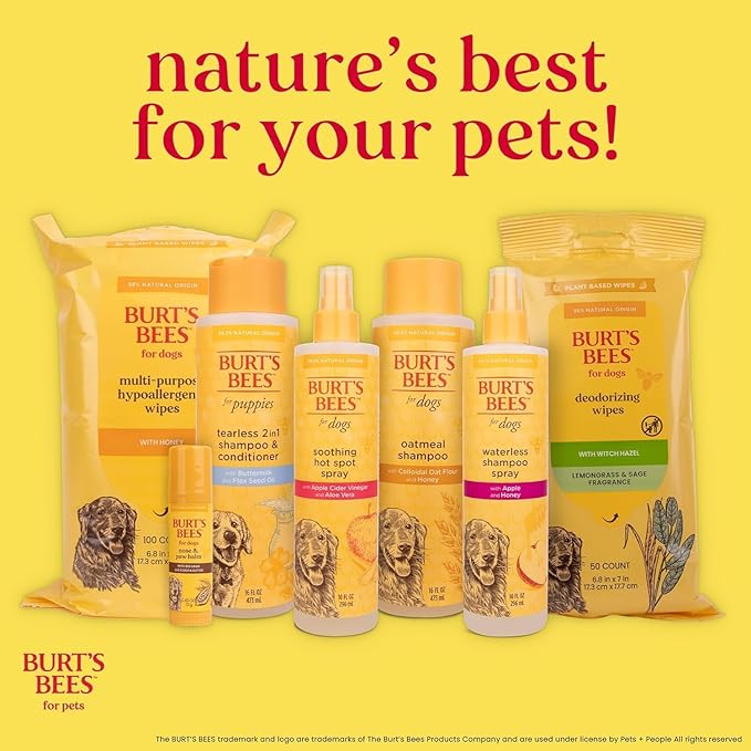 BURT'S BEES FOR PETS Itch Soothing Dog Shampoo for Itchy Skin, pH Balanced Honeysuckle with Skin-Conditioning Honey, 95%+ Natural Origin Formula, No Sulfates, Fragrances, or Colorants, 16 Fl Oz