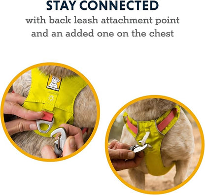 Ruffwear, Hi & Light, Everyday Lightweight Dog Harness, Trail Running, Walking, Hiking, All-Day Wear, Basalt Gray, XXX-Small