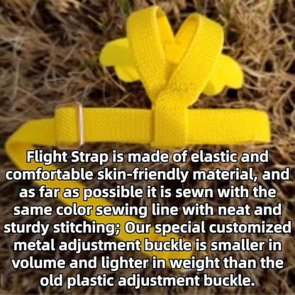 Pet Parrot Bird Harness and Leash, Adjustable Training Design Anti-Bite, Bird Nylon Rope with Cute Wing for Lovebird Budgie African Grey Macaw Conure (Light Blue,Sulphur-Crested Cockatoo)