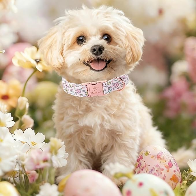 Easter Dog Collar, Pastel Floral Egg Easter Collars for Puppy Small Dogs, Cute Girly Spring Holiday Dog Collars, Adjustable Heavy Duty Female Pet Collar with Metal Buckle XS