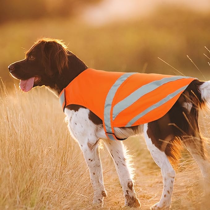 Kuoser Reflective Dog Vest, High Visibility Safety Vest for Medium to Large Dogs, Lightweight Pet Reflective Vests for Hunting Outdoor Activities Walking at Night, Blaze Orange L