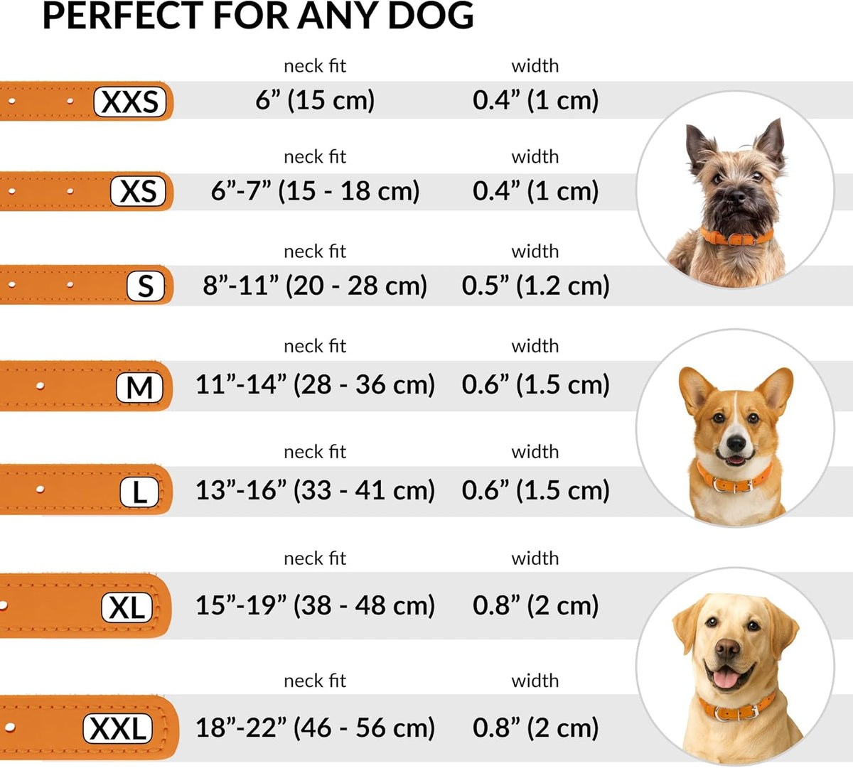 CollarDirect Rolled Leather Dog Collar, Soft Padded Round Puppy Collar, Handmade Genuine Leather Collar Dog Small Large Cat Collars 13 Colors (11-14 Inch, Orange Smooth)