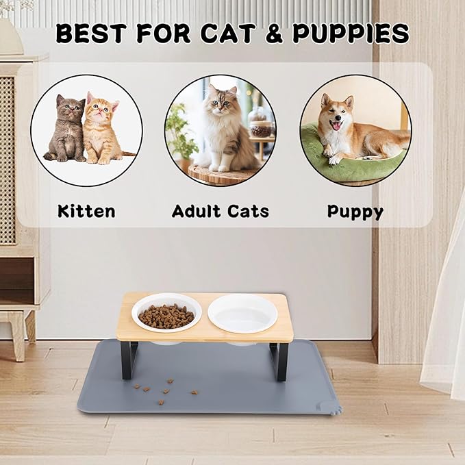 Elevated Whisker Friendly Cat Bowls, 15 Tilted Stand Anti Vomiting Raised Dishes for Food and Water, Ceramic Bowls for Cats and Puppy,Bamboo