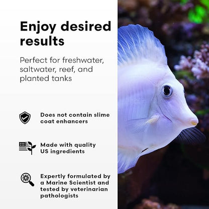 Continuum Aquatics Fraction Water Conditioner for Freshwater & Marine Aquariums – Removes Ammonia, Chlorine & Chloramines – Supports Aquarium Balance – Advanced Water Treatment, 250 ml
