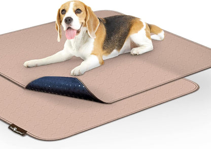 Paw Inspired Washable Pee Pads for Dogs (2 Pack), Leakproof, Non-Slip Reusable Puppy Pads for Potty Training, Whelping, Waterproof Mat (32x30 Inch, Pack of 2)