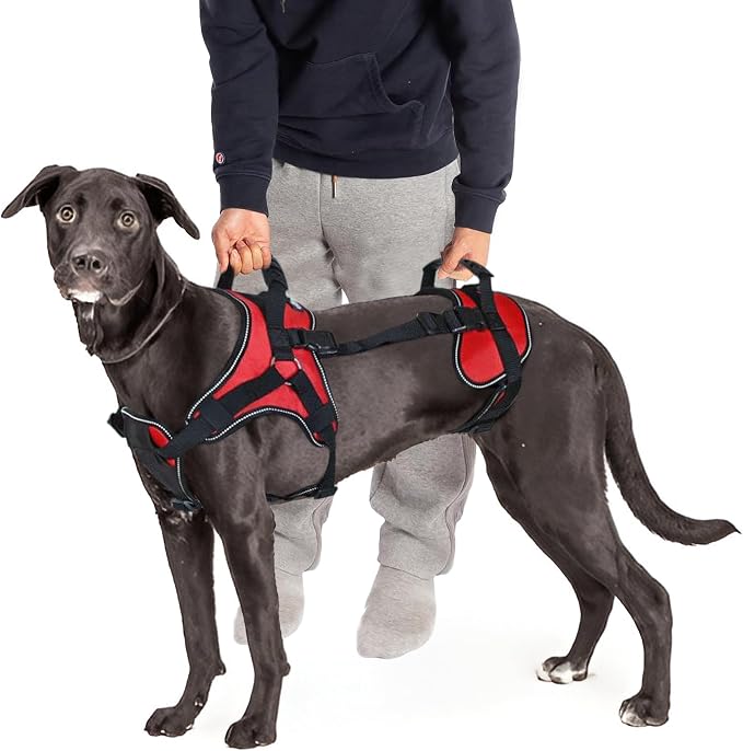 Doggie Stylz Multi-Functional Dog Harness Vest | Designed for Front-Only, Rear-Only or Full-Body Dog Lifting, Please Measure Your Before Ordering