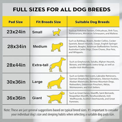 CROCI Charcoal Pee Pads for Dogs Odor Control Leak Proof XXL 30x36in 40Ct | Super Absorbent Dog Pee Pads with Adhesive Tabs, Heavy Duty, Dog Potty Training, Quick-Dry Surface, Disposable