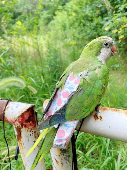 Bird Diaper Harness Flight Suit Clothes, Parrot Flight Suit with Leash, Bird Flying Clothes with Rope and Handle for Outdoor Activities Training (Pink Without Leash,Small)
