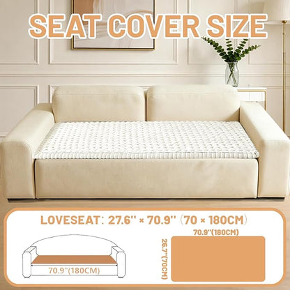 Couch Cover for Dogs Washable,Non Slip Fuzzy Durable Pet Friendly Cozy | Soft Slipcovers for 3 Cushion Sofa Cover,Plush Thick Protector Fits Mat Bed Leather & Fabric Couches (Beige 27.6"x70.9")
