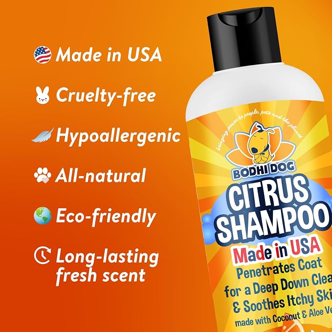 Bodhi Dog Refreshing Orange Citrus Shampoo - Deep Cleaning Coconut & Aloe Formula - Natural Soothing, Moisturizing Pet Wash for Dogs, Cats, Puppies - Tear-Free (17 Fl Oz)