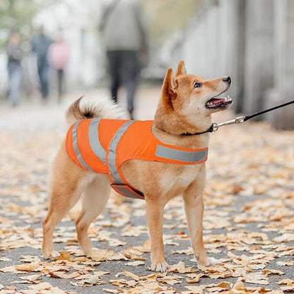 Kuoser Reflective Dog Vest, High Visibility Safety Vest for Medium to Large Dogs, Lightweight Pet Reflective Vests for Hunting Outdoor Activities Walking at Night, Blaze Orange L