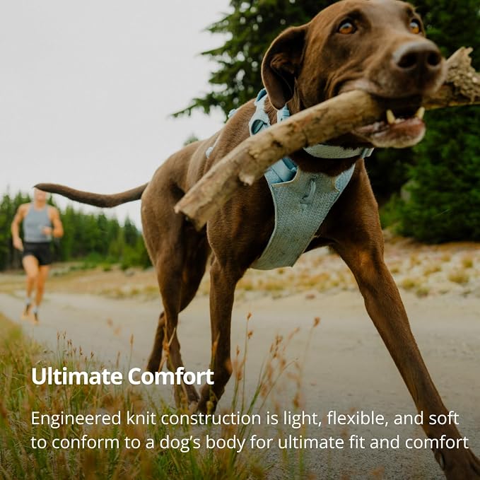 Ruffwear, Front Range Flex Dog Harness, Engineered Knit Construction for Ultimate Fit and Mobility, Lightweight Flexible Everyday Harness with Dual Leash Clips, Basalt Gray, XXX-Small