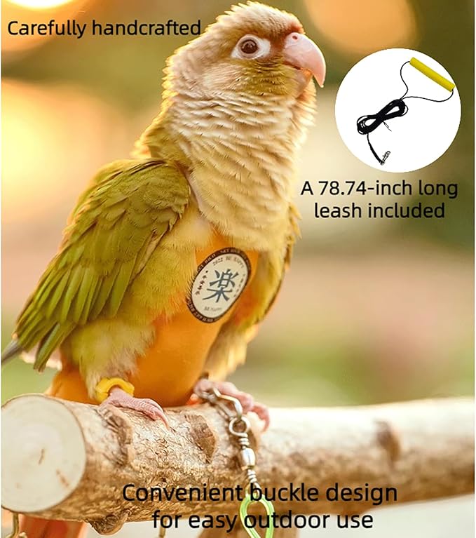 MANON ROSA Bird Diapers Leash Set Washable Reusable Handmade Flight Suit Waterproof Inner Layer - Protective Parrot Nappy Clothes Parakeets Macaws Budgies Canaries (Red4,Caique)
