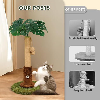 Cat Scratching Posts Cat Trees 26.4" Tall with Sisal Rope Cat Toy and Hanging Ball for Indoor,Wooden Palm Tree Cat Scratch Pole for Kitty