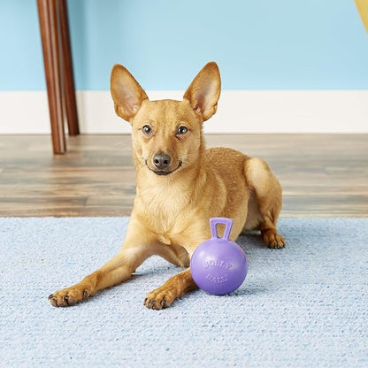 Jolly Pets Tug-n-Toss Heavy Duty Dog Toy Ball with Handle, 4 Inches/Petite, Purple (404 PR)