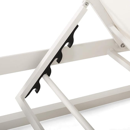 Christopher Knight Home Eudora Outdoor Chaise Lounge (Set of 2), White