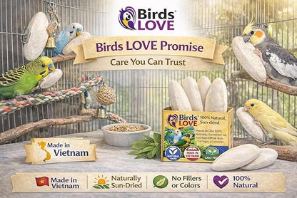 Birds LOVE 3.5-4″ Cuttlebone for Birds – 100% Natural Sun-Dried Calcium & Beak Conditioning Supplement for Parakeets, Budgies, Cockatiels, Finches & Canaries – 4 Pack with Holder – Made in Vietnam