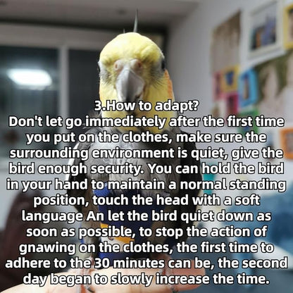 Bird Diaper Protective Parrot Nappy - 4 Pack, Reusable Flight Suit with Waterproof Inner Layer, Adjustable Shoulder Straps, Washable Cute Urine Wet Suit for Parakeet Conure (XL)