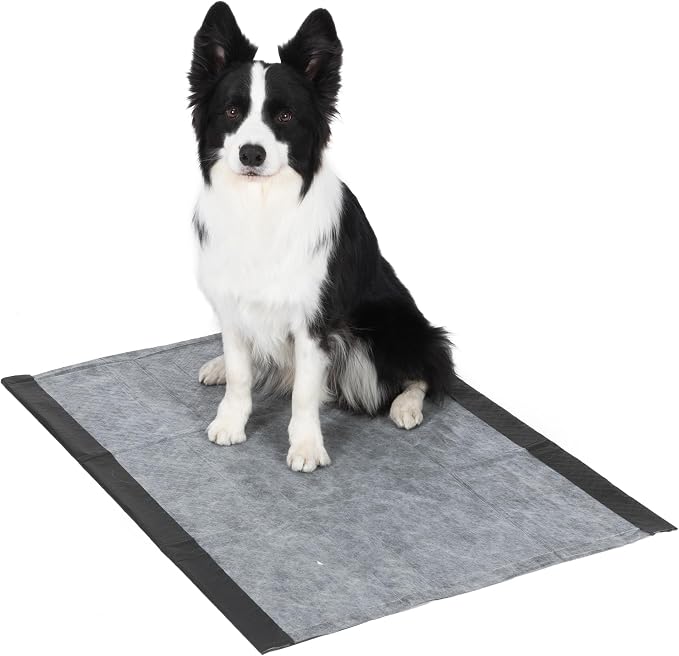 Glad for Pets Giant Activated Carbon Training Pads, 30 x 36 In, 24 Ct, 3-Pk | Adhesive backing and wall protection for leak-proof, super-absorbent day-to-night coverage