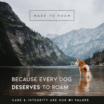 Made to ROAM Premium Explorer Control Collar - Adjustable Heavy Duty Nylon Dog Collar with Quick-Release Metal Buckle and Handle (Maine Marina, Control Size 5)