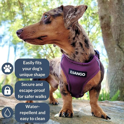Adventure Dog Harness - Stylish, and Durable Medium Dog Harness for Outdoor Adventures and Everyday Wear - Plum Purple Neoprene Adjustable Harness for Dogs with Reflective Piping, Brass D-Ring
