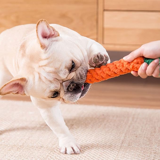 Dog Toys 3 PCS Puppy Teething Chew Toys,Dog Rope Toys,Cat Chew Toys,Safe Braided Rabbit Toys Healthy Gift