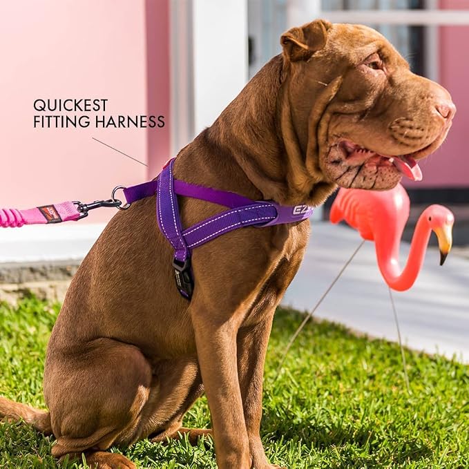 EzyDog Quick Fit Dog Harness, Soft Neoprene Padding - X-Large, Blue | Fast One-Click Buckle, Adjustable Fit, Strong Reinforced Materials, Reflective Stitching, No Pull Dog Harness, Easy Walking