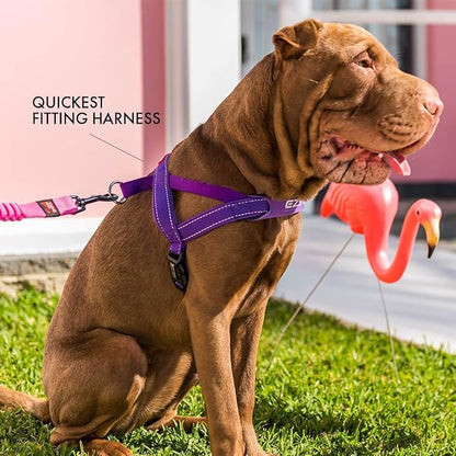 EzyDog Quick Fit Dog Harness, Soft Neoprene Padding - X-Small, Red | Fast One-Click Buckle, Adjustable Fit, Strong Reinforced Materials, Reflective Stitching, No Pull Dog Harness, Easy Walking