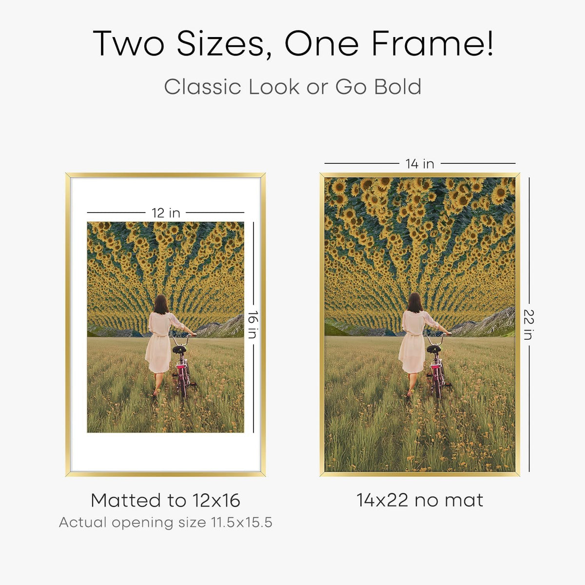 Homeforia 14x22 Picture Frame Gold, High End Metal 14x22 Poster Frames with Mat 12x16 Photo, 14 x 22 Gold Frames Matted to 12 by 16 Print, 22x14 Thin Hanging Frames, Tempered Glass, Wall Kit, Set of 1
