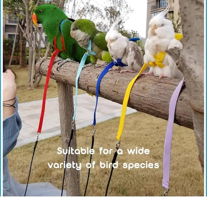 Adjustable Bird Harness with Elastic Leash, Pet Parrot Harness and Leash, Adjustable Training Design Anti-Bite, Bird Nylon Rope with Cute Wing for Conure (Beige,M)