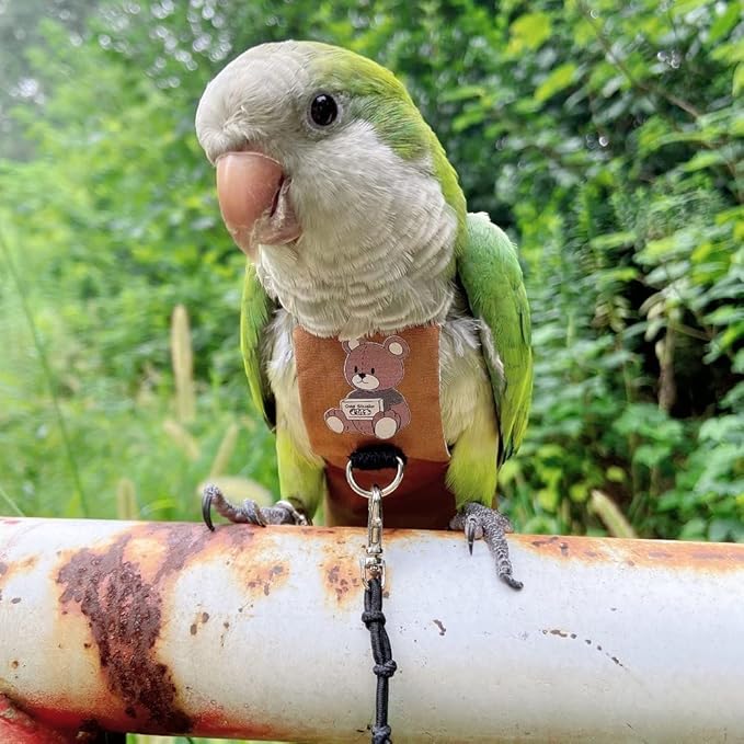 Bird Diaper Harness Flight Suit Clothes, Parrot Flight Suit with Leash for Parrot, Bird Flying Clothes with Rope and Handle for Outdoor Activities Training (Hahn's Macaw,Without Leash)