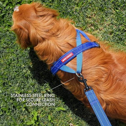 EzyDog Quick Fit Dog Harness, Soft Neoprene Padding - X-Large, Gray | Fast One-Click Buckle, Adjustable Fit, Strong Reinforced Materials, Reflective Stitching, No Pull Dog Harness, Easy Walking