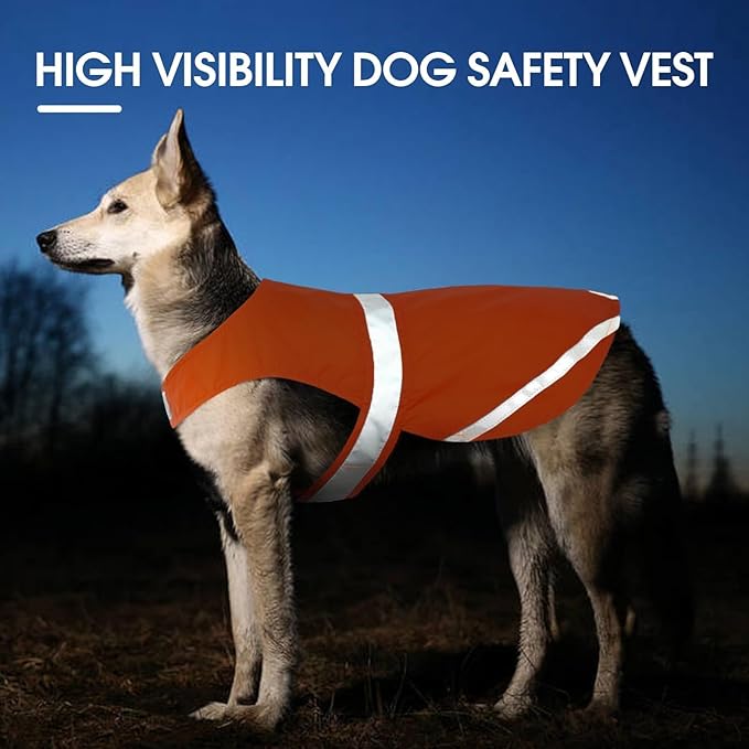 Kuoser Reflective Dog Vest, High Visibility Safety Vest for Medium to Large Dogs, Lightweight Pet Reflective Vests for Hunting Outdoor Activities Walking at Night, Blaze Orange 3XL