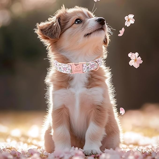 Easter Dog Collar, Pastel Floral Egg Easter Collars for Puppy Small Dogs, Cute Girly Spring Holiday Dog Collars, Adjustable Heavy Duty Female Pet Collar with Metal Buckle XS