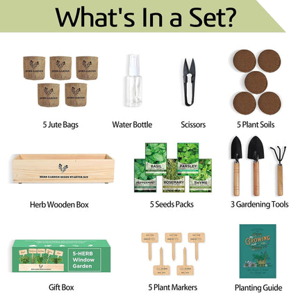 5 Herb Seeds Garden Starter Kit with Complete Planting Kit & Wooden Flower Box, Growing into Basil, Parsley, Rosemary, Thyme, Mint for Kitchen Windowsill Herb Garden DIY