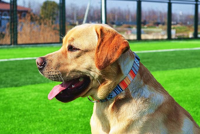 Dog Collar with Bohemia Floral Tribal Geometric Patterns - Soft Ethnic Style Collar Adjustable for Small Medium Large Dogs (Bohemian Orange,XS)