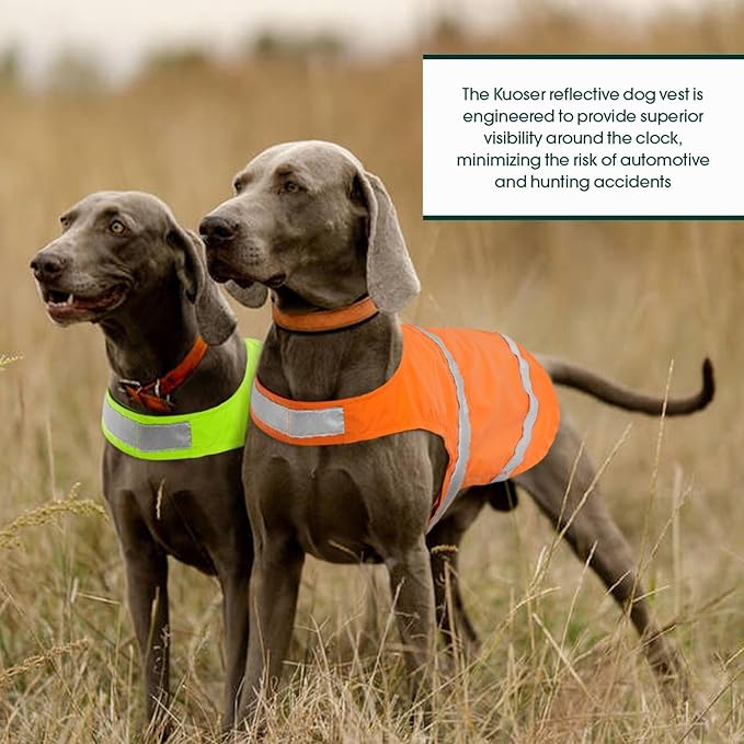 Kuoser Reflective Dog Vest, High Visibility Safety Vest for Medium to Large Dogs, Lightweight Pet Reflective Vests for Hunting Outdoor Activities Walking at Night, Blaze Orange L