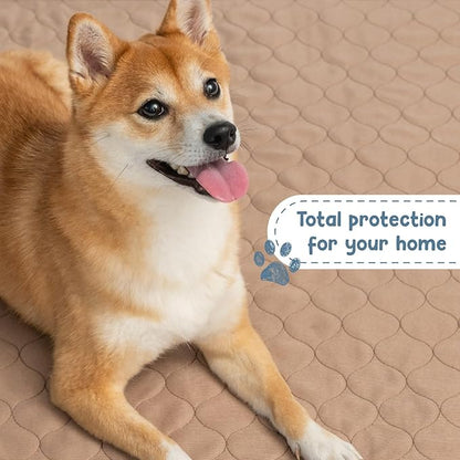 Reusable Dog Pee Pads, Washable Waterproof Mat 60x60 in, 2 Pack | 60x60 washable waterproof pee pads with rounded corners, reusable laminated durable pads for whelping, 2-pack