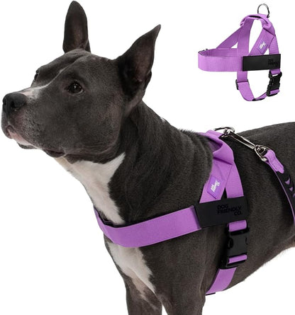 Dog Friendly Co. Dog Harness for Large Dogs (Purple, Large) | One Click Buckle, Chafe Resistant Webbing, Adjustable Neck & Chest, and Heavy Duty D-Ring, Sturdy Comfortable and Easy to Use