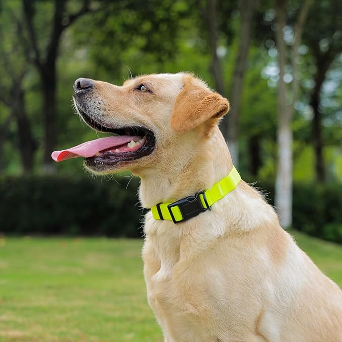 Waterproof Dog Collar, Easy to Clean Rubber Dog Collars with Quick Release Buckle Fits Small Medium or Large Dogs (Yellow, M < 11.8-18.5 inch)