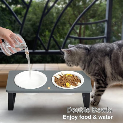 Sunhoo Ceramic Elevated Cat Bowls Raised Puppy Dishes for Food and Water Tilted Wooden Stand for Indoor Cats 5.5 inch Wide Double Dish Orthopedic Reduces Vomiting (Grey)