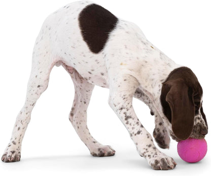 WEST PAW Boundr Ball Dog Fetch Toy – Bouncing Toys for Dogs, Fetch, Catch, Chewing, Play – Floatable, Recyclable Balls – Small Hot Pink/Aqua Blue 2-Pack