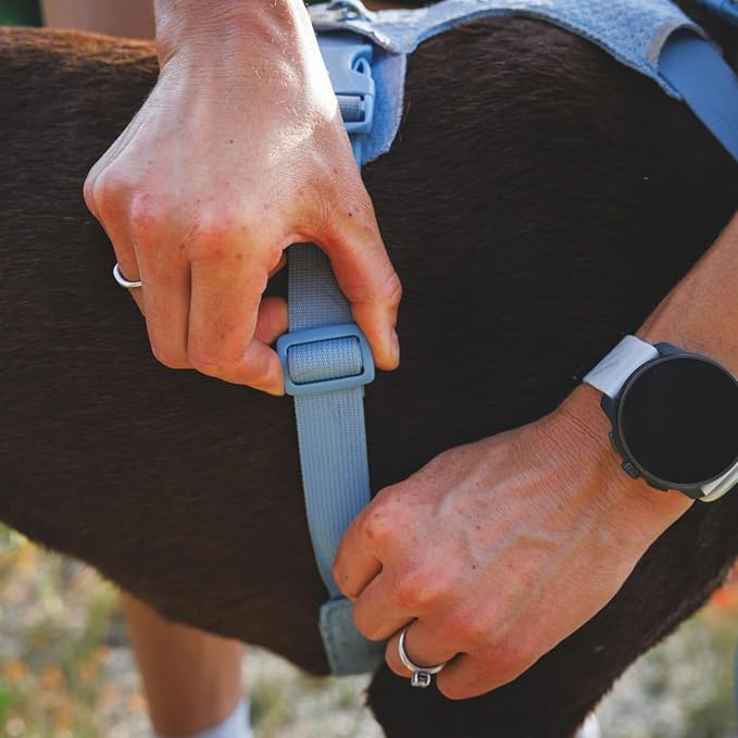 Ruffwear, Front Range Flex Dog Harness, Engineered Knit Construction for Ultimate Fit and Mobility, Lightweight Flexible Everyday Harness with Dual Leash Clips, Polar Blue, Large/X-Large