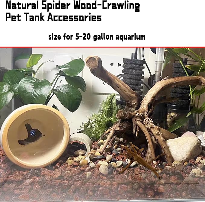 Hamiledyi 4PCS Driftwood for Aquarium 8-10in Natural Spider Wood Reptile Branches Fish Tank Log Ornament Aquarium Trunk Decoration