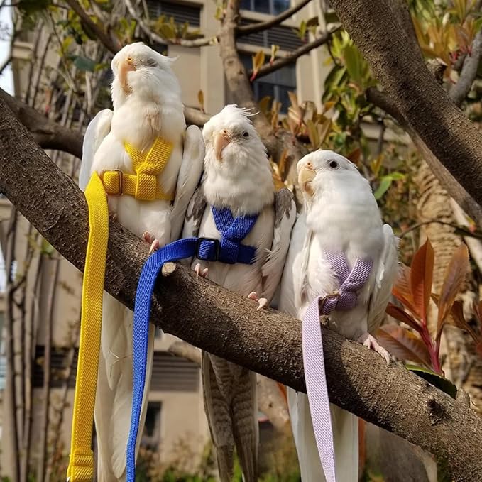 Adjustable Bird Harness with Elastic Leash, Pet Parrot Harness and Leash, Adjustable Training Design Anti-Bite, Bird Nylon Rope with Cute Wing for Conure (Purple,2M)