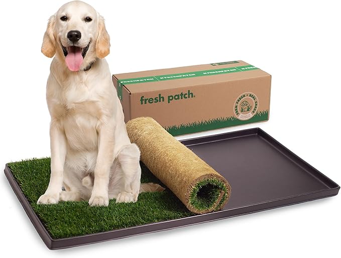 Fresh Patch Real Grass Patch for Dogs, Cats, and Extra Large Pets 30 Pounds and Above – Disposable Pet Grass Pee Pads with Tray – Indoor and Outdoor Potty Training Mat (24 Inches x 48 Inches)